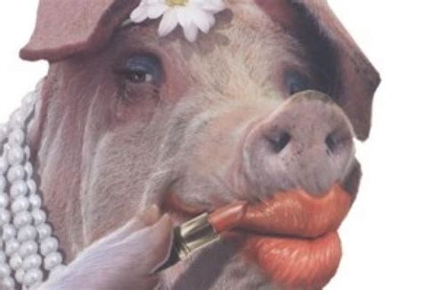 lipstick pig